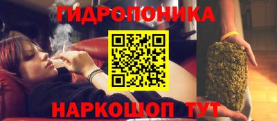 ПСИЛОЦИБИНОВЫЕ ГРИБЫ Абакан