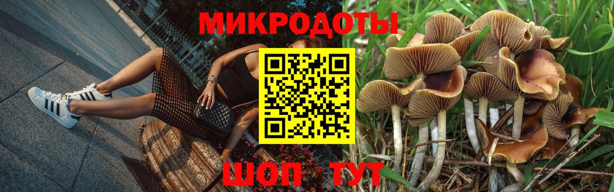 Псилоцибиновые грибы Psilocybine cubensis  Псилоцибиновые грибы ЛСД  Балабаново  Вход с VPN 