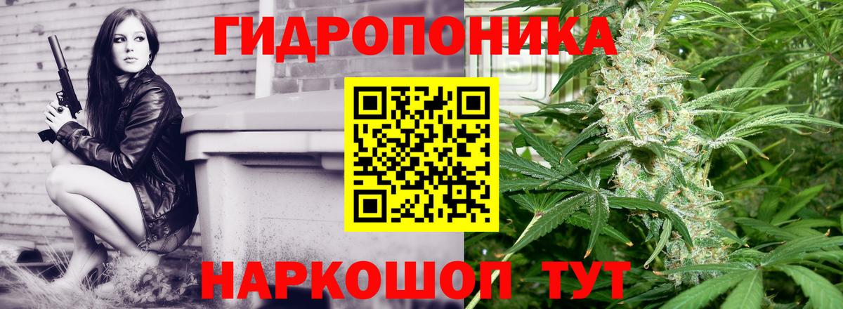 Шишки марихуана сатива Балабаново